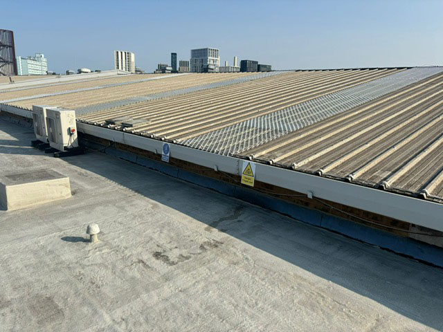 Rooflight protection for fragile rooflights