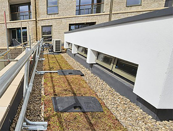 Guardrail on a green roof